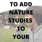 How to add nature studies to your homeschool. Nature study for homeschool. Homeschool nature study. How to nature journal. Nature journal for homeschool. Nature anatomy and homeschool. How to use Nature Anatomy for homeschool. Nature Anatomy by Julia Rothman. Nature studies in homeschool. Nature studies. Nature basket. What is in our nature basket for homeschool. #homeschool #homeschoolnaturestudy