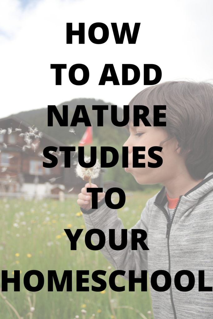 How to add nature studies to your homeschool. Nature study for homeschool. Homeschool nature study. How to nature journal. Nature journal for homeschool. Nature anatomy and homeschool. How to use Nature Anatomy for homeschool. Nature Anatomy by Julia Rothman. Nature studies in homeschool. Nature studies. Nature basket. What is in our nature basket for homeschool. #homeschool #homeschoolnaturestudy