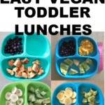 Easy Vegan Toddler Lunches