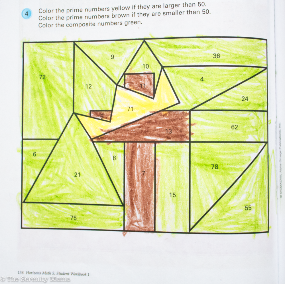 Christian for Horizons Math Book Review
