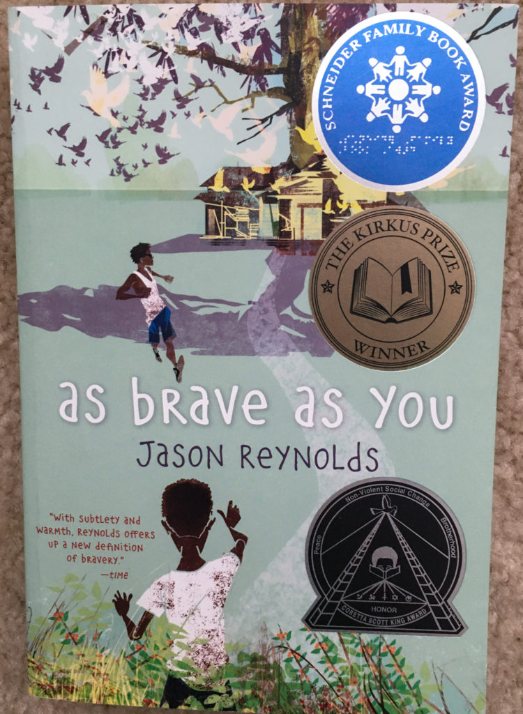 As Brave as You for 6th grade homeschool curriculum